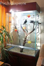 Эксклюзивный террариум выполненный под заказ для содержания птицы