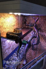 Террариум изготовленный на заказ для содержания змеи