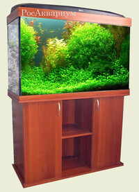 Производство прямоугольных аквариумов Образец прямоугольного классического аквариума с растениями