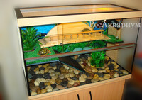 фото террариума для красноухих черепах