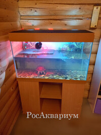 Акватеррариум АТЛАНТ-300 для взрослых черепах