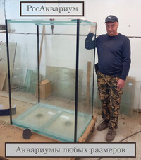 Аквариум Банка по любым размерам Фото высокого аквариума без крышки Банки с человеческий рост