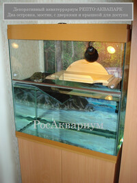 Фото образца акватеррариума оформленного деревянным мостиком