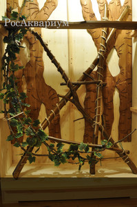 Пример использования декоративного панно в виде старинного дерева
