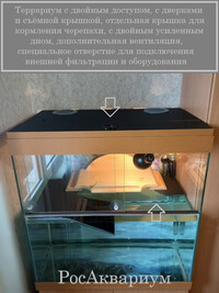 Фотосхема, как можно обслуживать акватеррариум