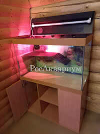 Образец террариума с приоткрытым задним модулем крышки