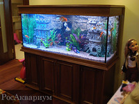 Заказной красивый аквариум оформленный массивом и объёмным фоном