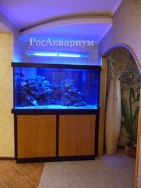 Изготовление морского аквариума Фото морского аквариума выполненного на заказ