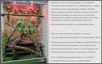 Вариант декора террариума корягами Образец оформления террариумов с игуанами