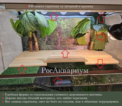 Декоративный мостик с пальмами ОАЗИС для черепахи Фотосхема образца деревянного мостика оформленного пальмами
