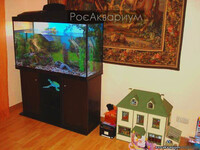 Фото террариума для детской комнаты