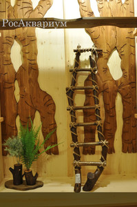 Пример оформления террариума деревянным панно с декоративной лесенкой
