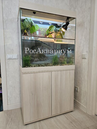 Фотография с образцом тумбы террариума