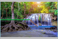 Образец изображения постера для оформления фона акватеррариума