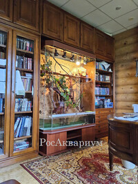 Пример оформления и оборудование террариума с игуаной