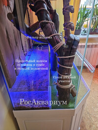Фото схема водоёма террариума для игуан