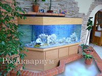 Изготовленный на заказ большой аквариум со скошенными углами Трапеция