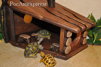 Эксклюзивный домик для черепахи