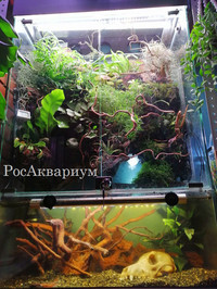 Фото частично оформленного водоёма