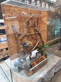 Изготовление террариума на производстве в Москве