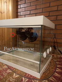 Образец с направлением светильников