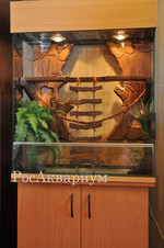 Террариум с оформлением и декорациями для игуаны