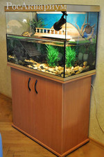 Эксклюзивный акватеррариум с декоративным мостиком для водяных черепах