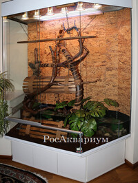 Фото сданного заказчику готового террариума
