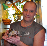 Дмитрий Уткин с мускусной черепахой оформляет террариум