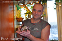 Дмитрий Уткин с черепахой