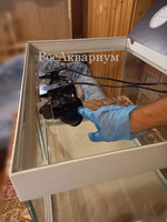 Образец перемещения светильников в террариуме