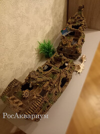 Палубная часть затонувшего корабля