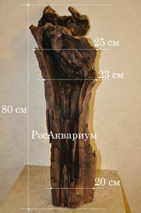 Фотография дубовой коряги с размерами