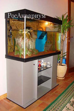 Красивый акватеррариум для содержания красноухой черепахи