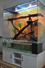 Образец оформления террариума искусственными растениями