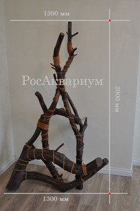 Фото декорации из коряг с размерами